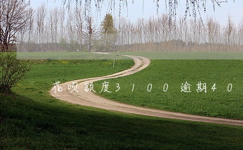 花呗额度3100逾期400 花呗额度3100逾期400