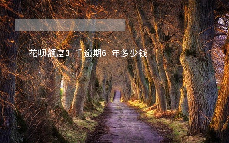 花呗额度3千逾期6年多少钱 花呗额度3千逾期6年多少钱