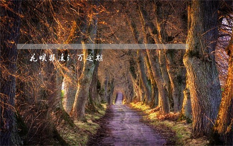 花呗额度5万逾期 花呗额度5万逾期