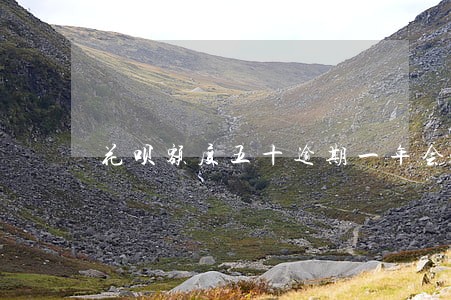 花呗额度五十逾期一年会还多少钱 花呗额度五十逾期一年会还多少钱