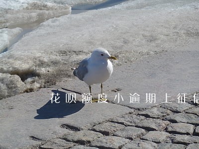 花呗额度小逾期上征信吗 花呗额度小逾期上征信吗