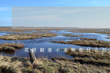 花呗额度小逾期有什么后果 花呗额度小逾期有什么后果