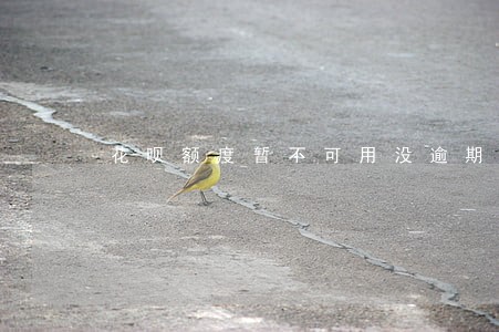 花呗额度暂不可用没逾期 花呗额度暂不可用没逾期