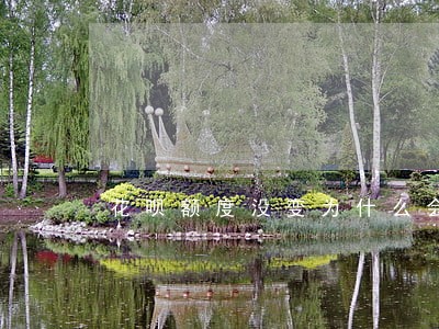 花呗额度没变为什么会有逾期 花呗额度没变为什么会有逾期