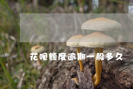 花呗额度逾期一般多久 花呗额度逾期一般多久