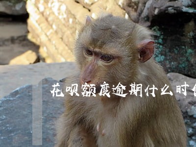 花呗额度逾期什么时候可以用 花呗额度逾期什么时候可以用