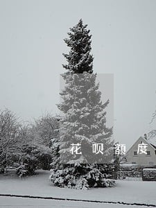 花呗额度逾期会降额度吗 花呗额度逾期会降额度吗
