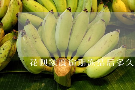 花呗额度逾期冻结后多久才能解开 花呗额度逾期冻结后多久才能解开