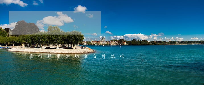 花呗额度逾期后会降低吗 花呗额度逾期后会降低吗