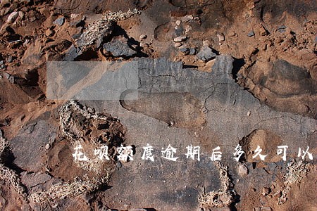 花呗额度逾期后多久可以恢复