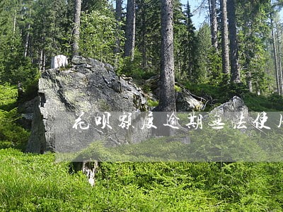 花呗额度逾期无法使用吗 花呗额度逾期无法使用吗