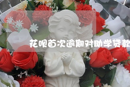 花呗首次逾期对助学贷款的认识 花呗首次逾期对助学贷款的认识