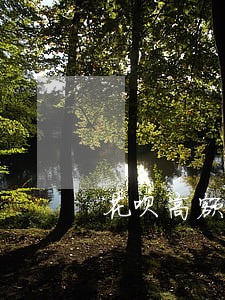 花呗高额逾期图片 花呗高额逾期图片