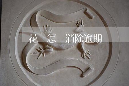 花唄怎麼消除逾期 花唄怎麼消除逾期