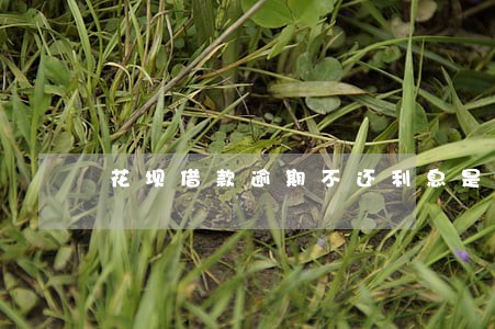 花坝借款逾期不还利息是多少 花坝借款逾期不还利息是多少