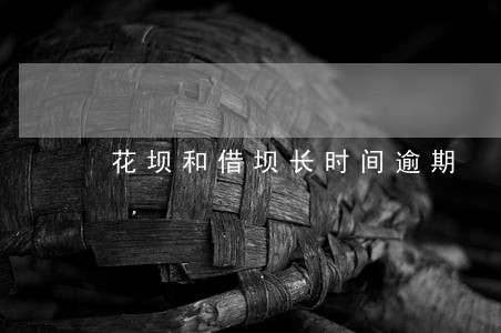 花坝和借坝长时间逾期 花坝和借坝长时间逾期