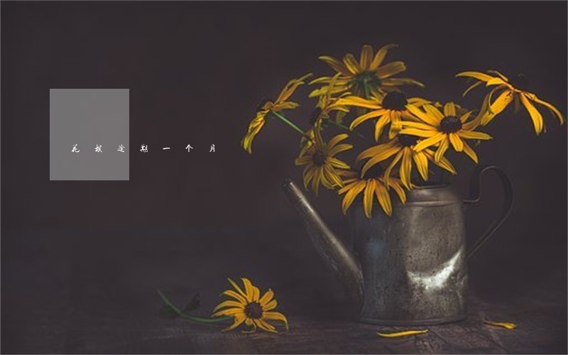 花坝逾期一个月 花坝逾期一个月