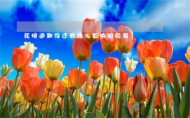 花坝逾期没还有什么影响和后果 花坝逾期没还有什么影响和后果