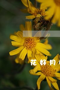 花好月圆小贷逾期 花好月圆小贷逾期