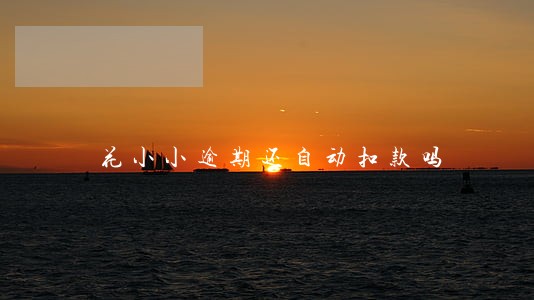 花小小逾期还自动扣款吗 花小小逾期还自动扣款吗