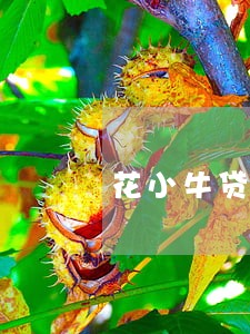 花小牛贷款逾期会怎样 花小牛贷款逾期会怎样
