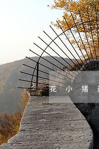 花小猪退款逾期未到账 花小猪退款逾期未到账