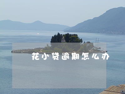 花小贷逾期怎么办 花小贷逾期怎么办