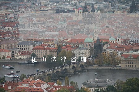 花山法律咨询