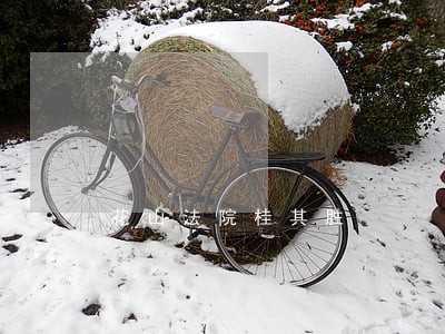 花山法院桂其胜 花山法院桂其胜