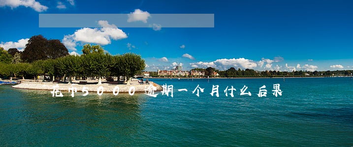 花币5000逾期一个月什么后果 花币5000逾期一个月什么后果