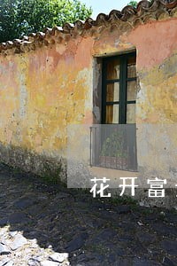 花开富贵贷款逾期现在还不了 花开富贵贷款逾期现在还不了