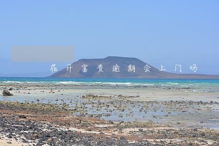 花开富贵逾期会上门吗 花开富贵逾期会上门吗