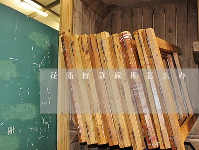 花新催款逾期怎么办 花新催款逾期怎么办