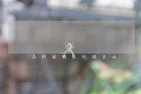 花新逾期收到催告函 花新逾期收到催告函
