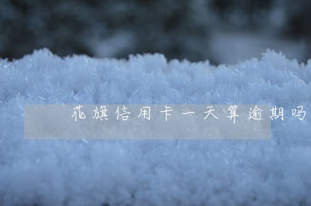 花旗信用卡一天算逾期吗 花旗信用卡一天算逾期吗