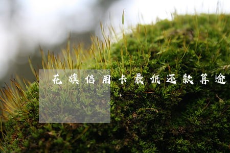 花旗信用卡最低还款算逾期吗 花旗信用卡最低还款算逾期吗