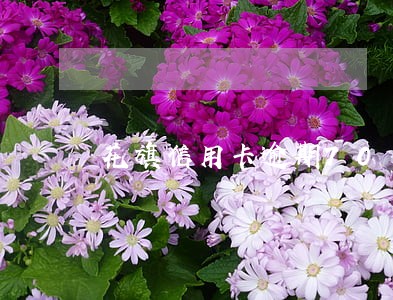 花旗信用卡逾期70天