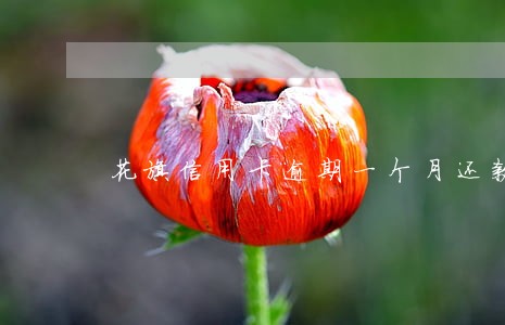 花旗信用卡逾期一个月还款 花旗信用卡逾期一个月还款