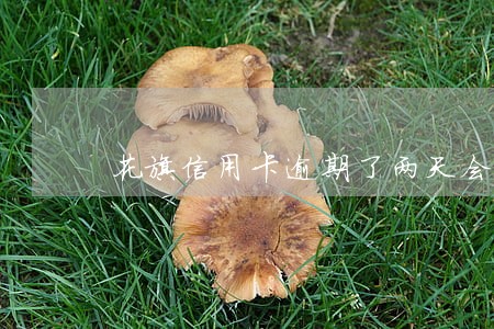 花旗信用卡逾期了两天会有影响吗 花旗信用卡逾期了两天会有影响吗