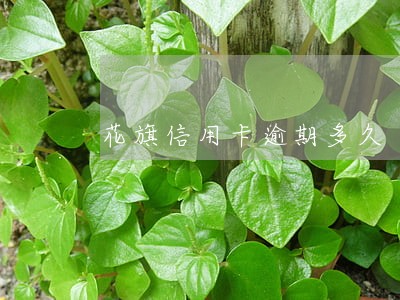 花旗信用卡逾期多久 花旗信用卡逾期多久