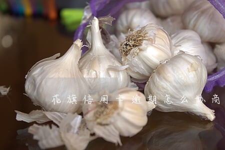花旗信用卡逾期怎么协商招商 花旗信用卡逾期怎么协商招商