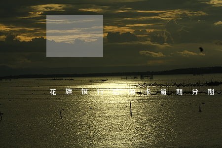 花旗银行信用卡逾期分期 花旗银行信用卡逾期分期