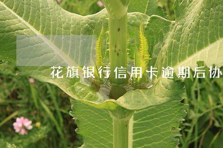 花旗银行信用卡逾期后协商还款 花旗银行信用卡逾期后协商还款