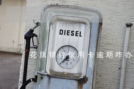 花旗银行信用卡逾期咋办