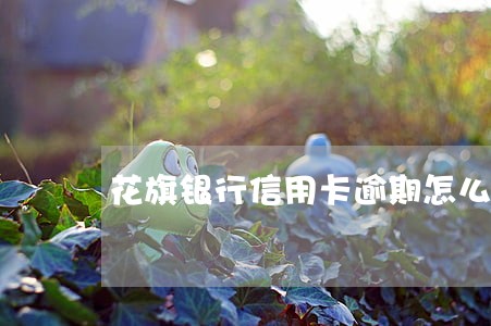 花旗银行信用卡逾期怎么办 花旗银行信用卡逾期怎么办