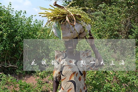 花旗银行逾期一天上海 花旗银行逾期一天上海