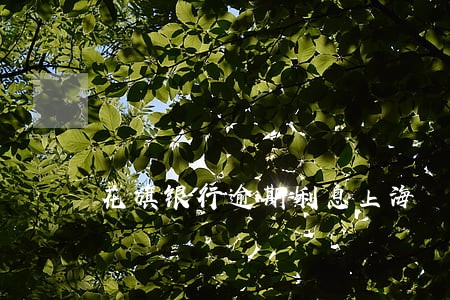 花旗银行逾期利息上海