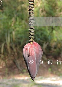 花旗银行逾期利息多少上海 花旗银行逾期利息多少上海