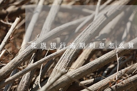 花旗银行逾期利息怎么算上海 花旗银行逾期利息怎么算上海