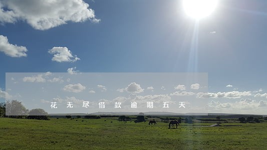 花无尽借款逾期五天 花无尽借款逾期五天